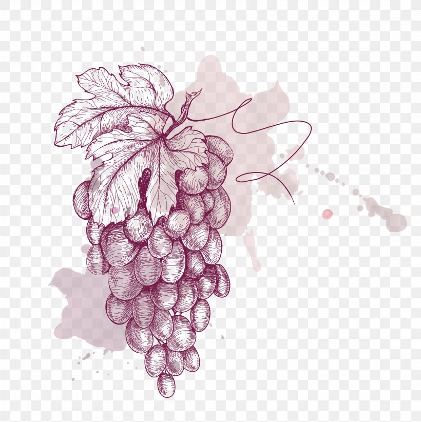 Grape Drawing Illustration, PNG, 4288x4300px, Grape, Art, Drawing, Floral Design, Flower Download Free