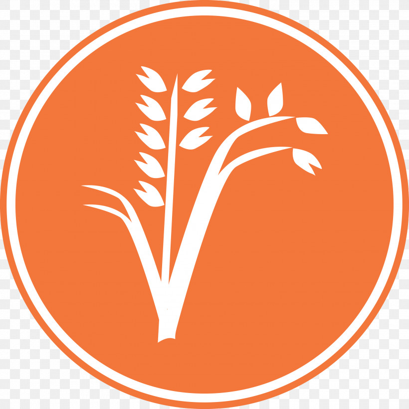 Oats Wheat Oats Logo, PNG, 3000x3000px, Oats, Area, Line, Logo, M Download Free