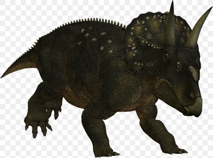 Triceratops Nedoceratops Ceratopsia Photography Dinosaur, PNG, 1200x890px, 3d Computer Graphics, Triceratops, Ceratopsia, Ceratopsidae, Cretaceous Download Free
