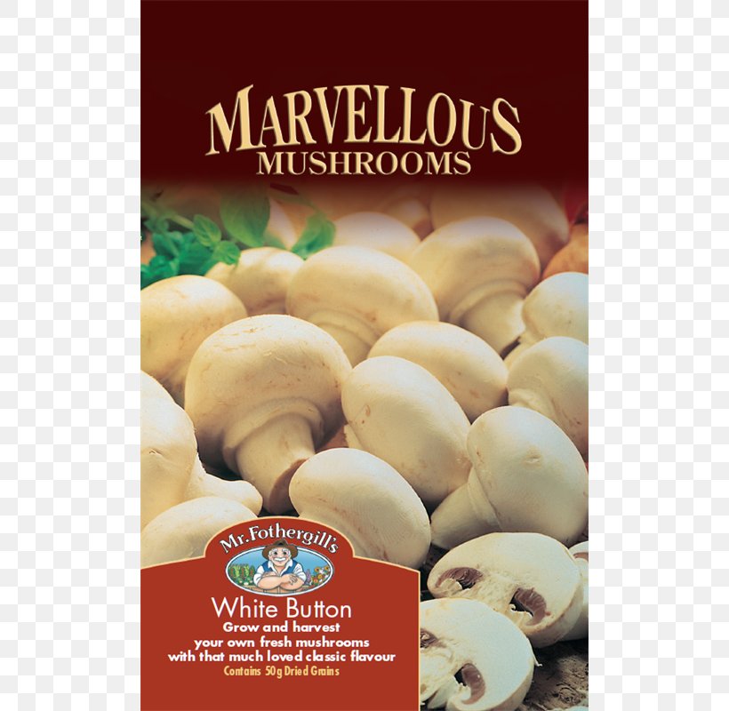 Common Mushroom Edible Mushroom Ingredient Fungus, PNG, 800x800px, Mushroom, Agaricus, Auglis, Common Mushroom, Edible Mushroom Download Free