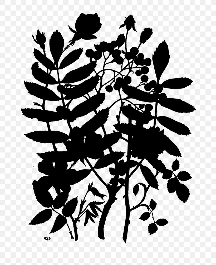 Visual Arts Silhouette Illustration Flower Plant Stem, PNG, 702x1008px, Visual Arts, Art, Blackandwhite, Botany, Branch Download Free