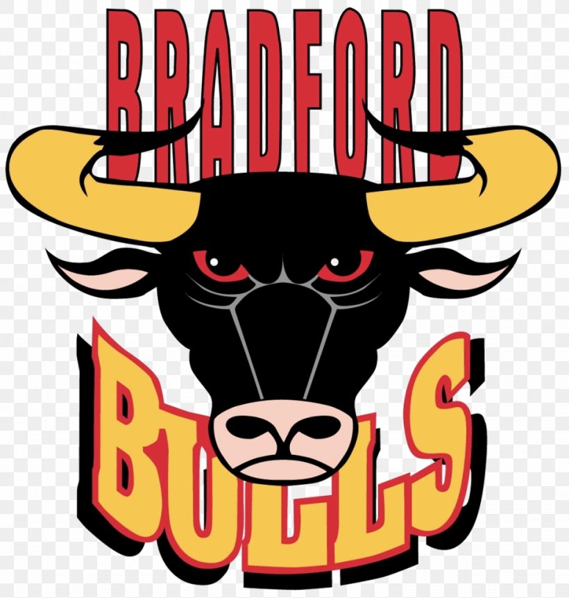 Bradford Bulls Foundation St Helens R.F.C. Leeds Rhinos Super League, PNG, 975x1024px, Bradford Bulls, Artwork, Bradford, Bradford Bulls Foundation, Charitable Organization Download Free
