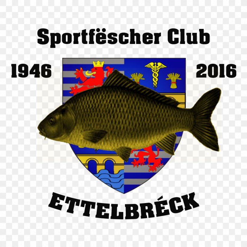 Ettelbruck Bettembourg Sport Fisher Alzette बाल गोत्र, PNG, 1000x1000px, Bettembourg, Calendar, Email, Fauna, Fish Download Free