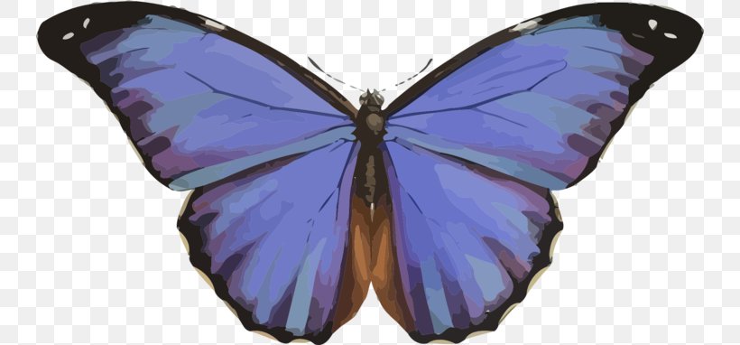 Insect Menelaus Blue Morpho Butterfly & Moth Brush-footed Butterflies, PNG, 740x382px, Insect, Arthropod, Blue Morpho, Brush Footed Butterfly, Brushfooted Butterflies Download Free
