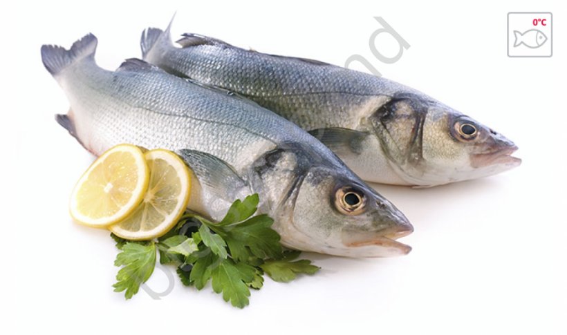 Oily Fish Seafood Eating, PNG, 1200x710px, Fish, Animal Source Foods, Canning, Chicken Meat, Eating Download Free