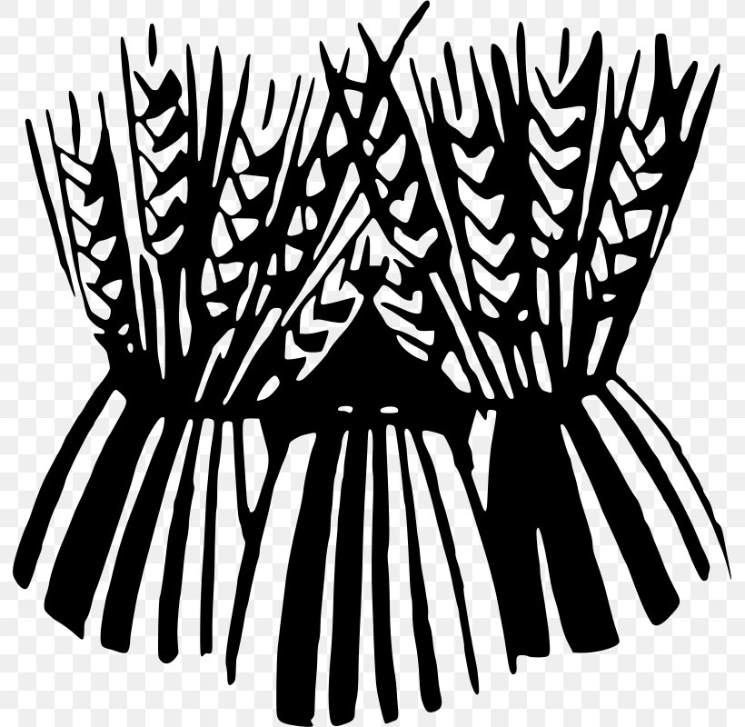 Sheaf Cereal Clip Art, PNG, 791x800px, Sheaf, Black, Black And White, Cereal, Drawing Download Free
