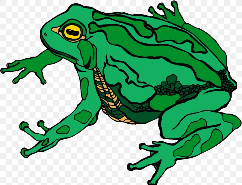 Amphibian Toad True Frog Clip Art, PNG, 1024x785px, Amphibian, Art, Artwork, Cartoon, Fauna Download Free