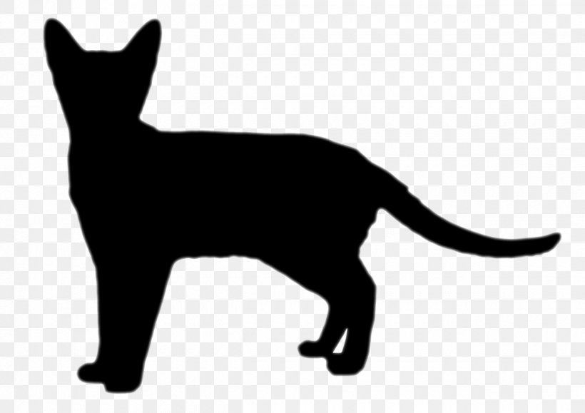Black Cat Dog Collar Whiskers, PNG, 1240x876px, Cat, Animal Figure, Black Cat, Blackandwhite, Carnivore Download Free