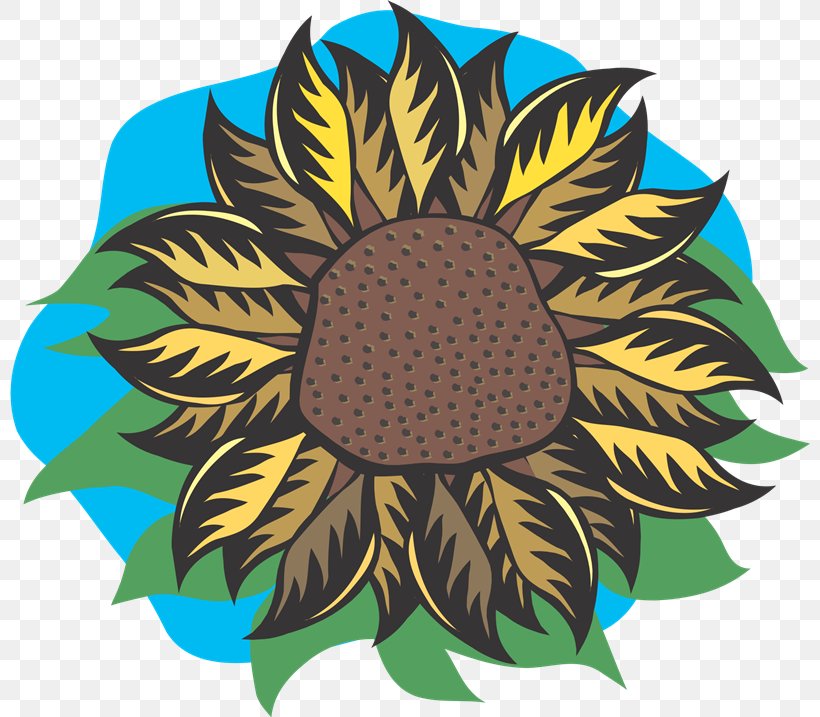 Clip Art Illustration Flower Vector Graphics Drawing, PNG, 800x717px, Flower, Daisy Family, Depositphotos, Drawing, Floral Design Download Free