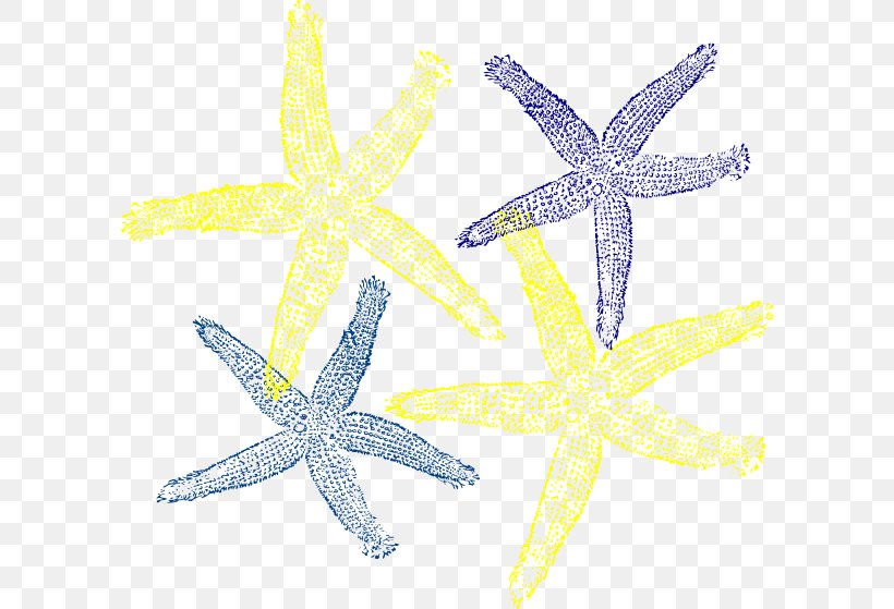 Clip Art Image Starfish, PNG, 600x559px, Starfish, Drawing, Echinoderm, Icon Design, Image File Formats Download Free