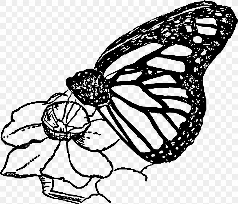 Monarch Butterfly Line Art Clip Art, PNG, 2387x2048px, Monarch Butterfly, Art, Artwork, Black And White, Brush Footed Butterfly Download Free
