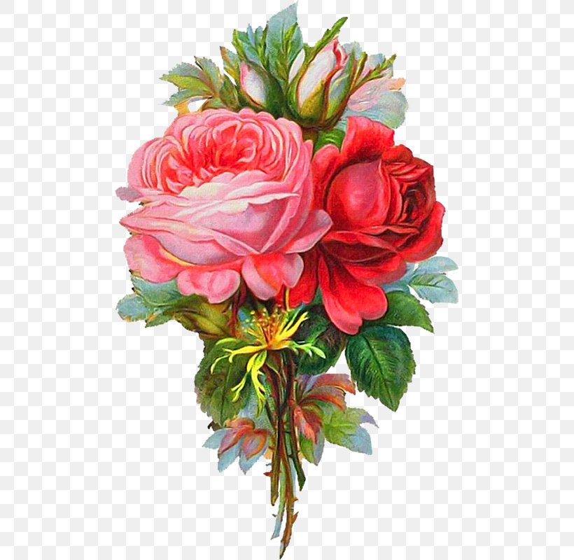 Rose Flower Bouquet Stock Photography Painting, PNG, 491x800px, Rose, Annual Plant, Art, Artificial Flower, Begonia Download Free