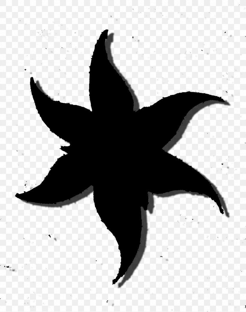 Starfish Silhouette Flower Leaf, PNG, 999x1269px, Starfish, Blackandwhite, Flower, Leaf, Monochrome Photography Download Free