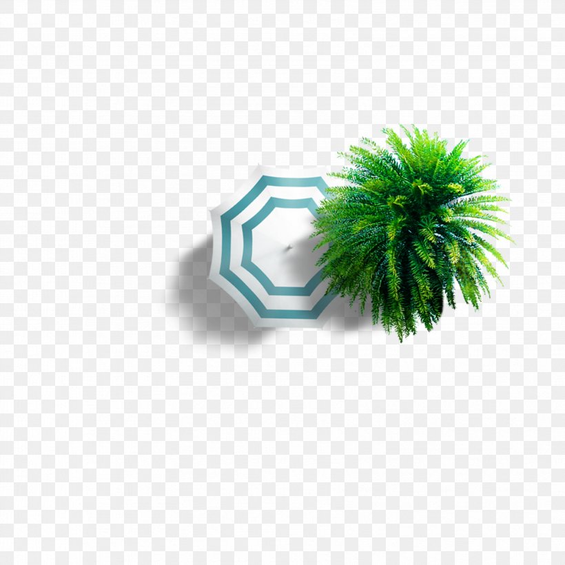 Download, PNG, 3402x3402px, Poster, Grass, Green, Illustrator, Plant Download Free