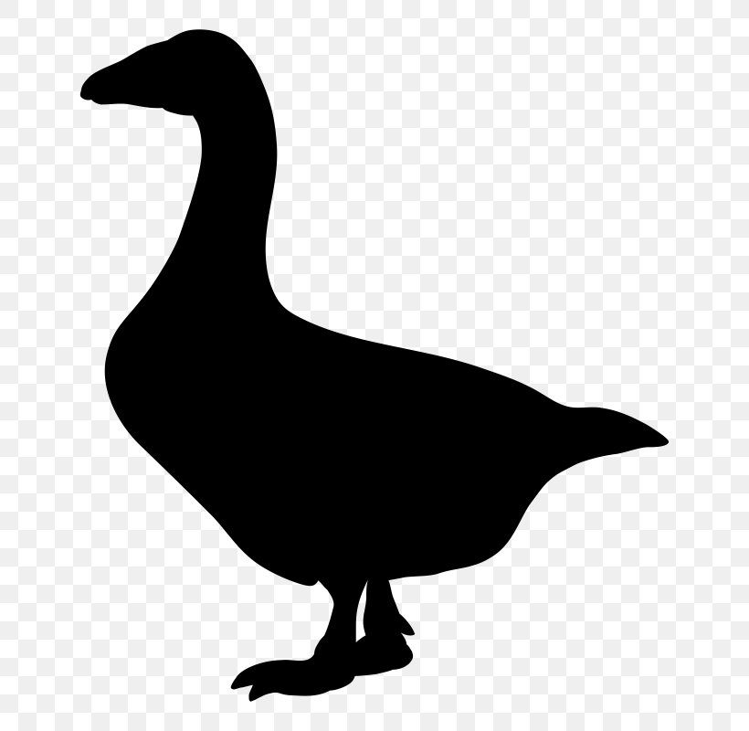 Goose Vector Graphics Illustration Bird, PNG, 750x800px, Goose, Beak, Bird, Blackandwhite, Duck Download Free
