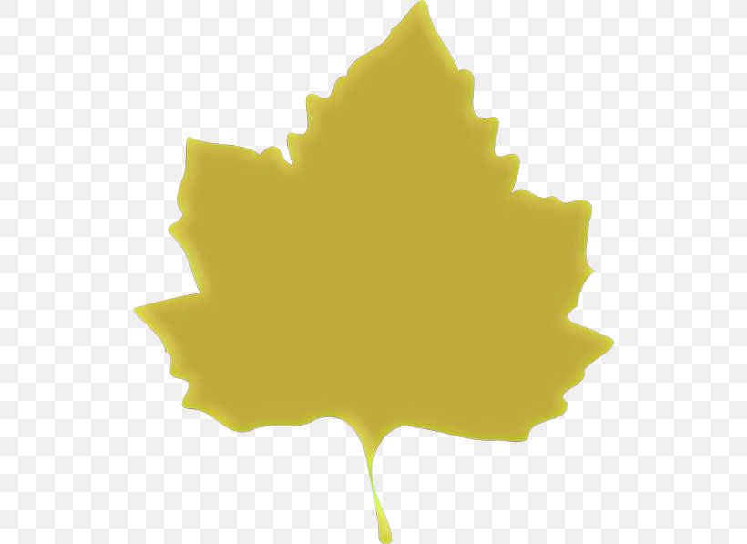Maple Leaf, PNG, 528x597px, Cartoon, Green, Leaf, Maple, Maple Leaf Download Free