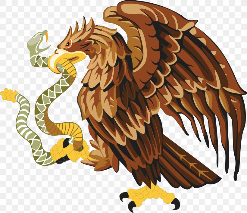 Mexico Snake Bald Eagle Clip Art, PNG, 4000x3453px, Mexico, Bald Eagle, Beak, Bird, Bird Of Prey Download Free