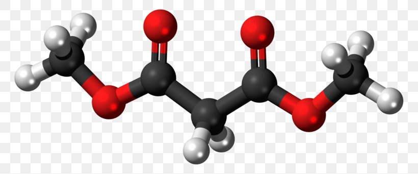 Theobromine Molecule Clip Art Image, PNG, 800x341px, Theobromine, Caffeine, Chemistry, Molecular Model, Molecule Download Free