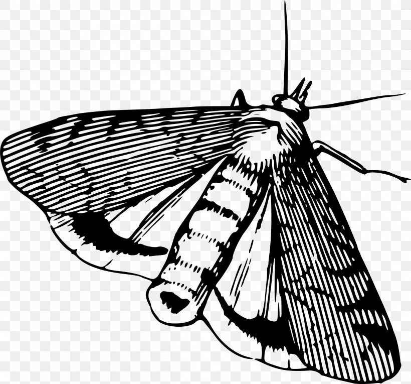 Butterfly Moth Insect Pest, PNG, 2399x2241px, Butterfly, Animal, Arthropod, Black And White, Brush Footed Butterfly Download Free