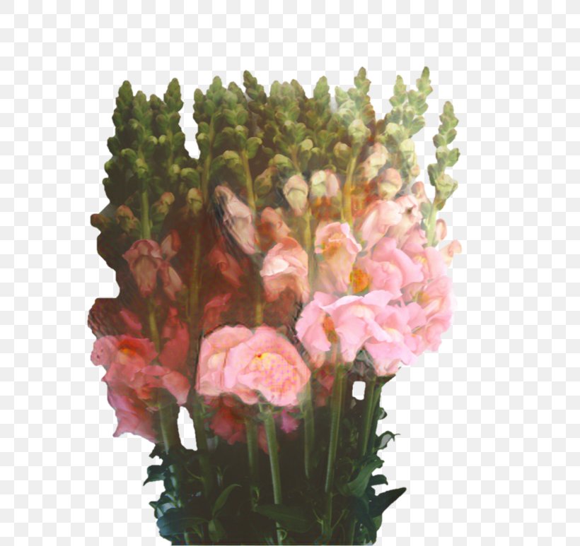 Cut Flowers Snapdragon Floral Design Blume, PNG, 580x773px, Cut Flowers, Annual Plant, Anthurium, Artificial Flower, Blume Download Free