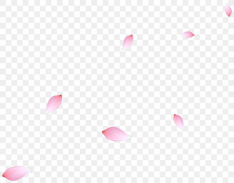 Petal Heart Pattern, PNG, 2422x1893px, Petal, Heart, Magenta, Pink, Point Download Free