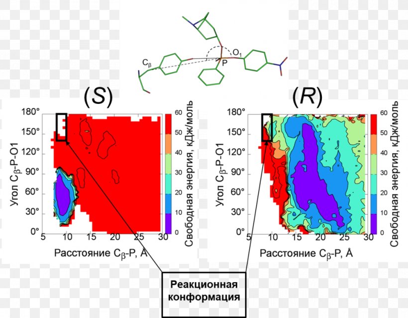 Combinatorial Methods Combinatorics Science Institute Of Bioorganic Chemistry Diagram, PNG, 1000x781px, 2017, Combinatorics, Area, Diagram, Dimension Download Free