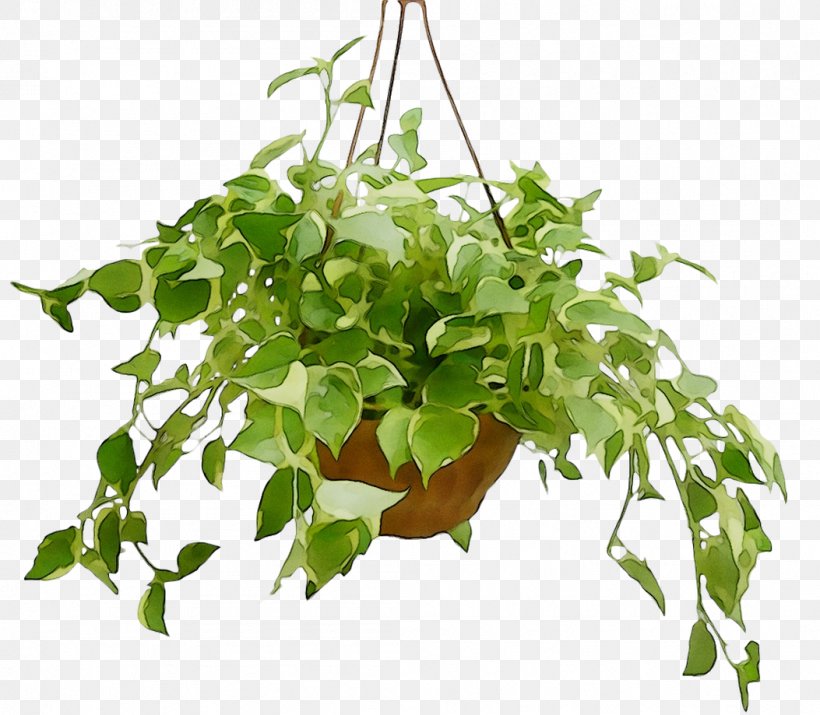 Flowerpot Houseplant Leaf Herb Branching, PNG, 1053x919px, Flowerpot, Branch, Branching, Flower, Flowering Plant Download Free