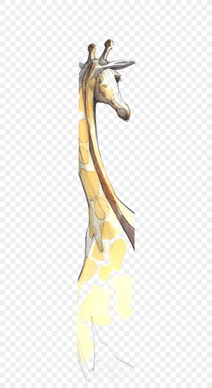 Giraffe Drawing Watercolor Painting Illustration, PNG, 266x1500px, Giraffe, Art, Brush, Drawing, Hand Download Free
