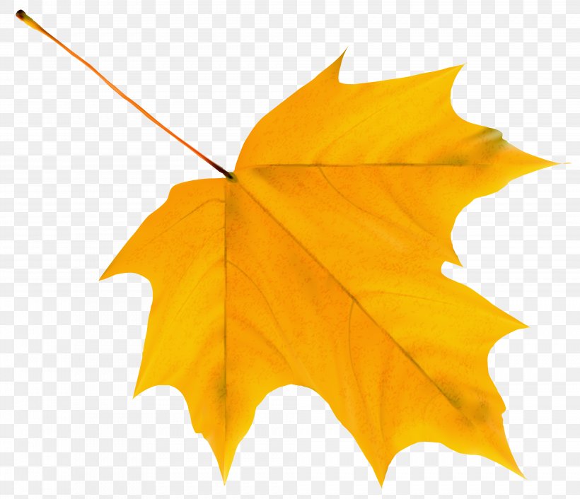 Autumn Leaf Color Yellow Clip Art, PNG, 3977x3428px, Autumn Leaf Color, Autumn, Leaf, Maple, Maple Leaf Download Free