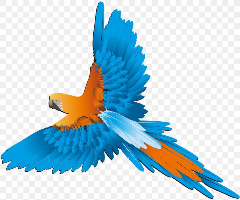 Bird Parrot Budgerigar Parakeet, PNG, 1200x1002px, Bird, Beak, Budgerigar, Common Pet Parakeet, Drawing Download Free