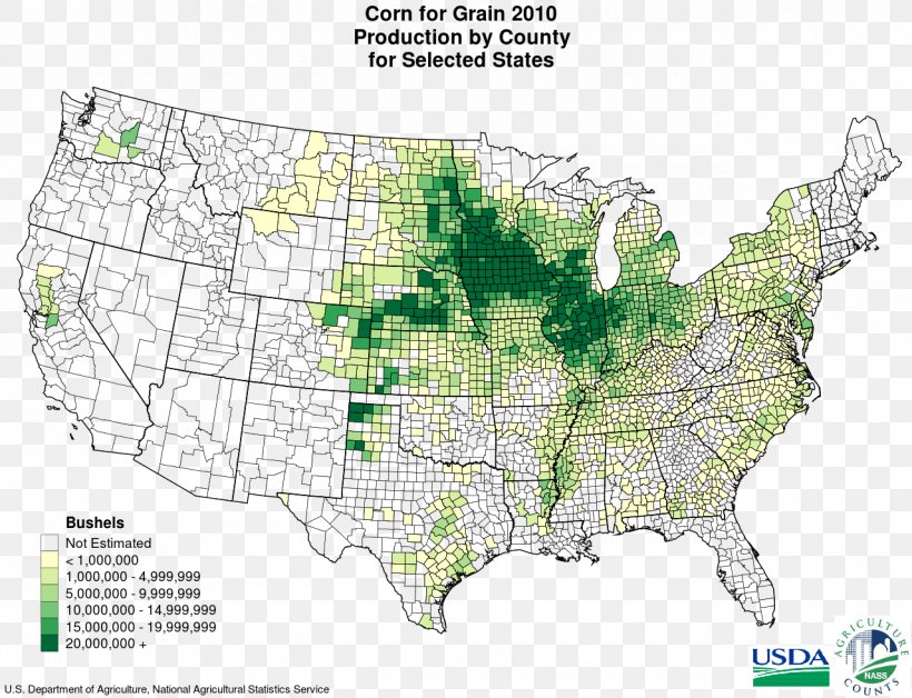 Corn Belt Midwestern United States Maize Corn Production In The United States Crop, PNG, 1280x981px, Corn Belt, Agriculture, Area, Corn, Crop Download Free