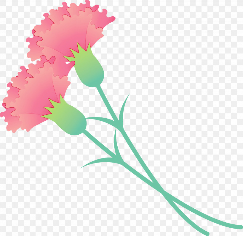 Flower Pink Plant Pedicel Cut Flowers, PNG, 3000x2908px, Mothers Day Carnation, Carnation, Cut Flowers, Dianthus, Flower Download Free