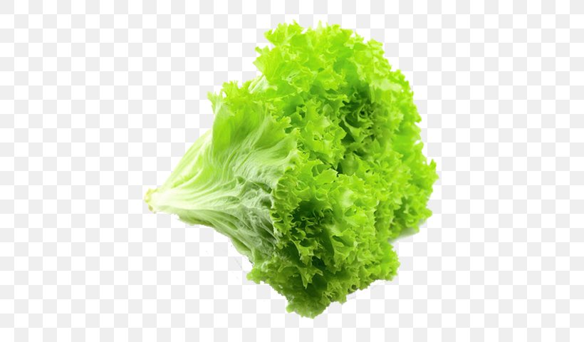 Green Grass Background, PNG, 560x480px, Salad, Butterhead Lettuce, Cabbage, Cauliflower, Celtuce Download Free