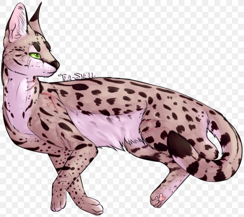 Ocicat Bengal Cat Whiskers Wildcat Paw, PNG, 947x844px, Ocicat, Bengal, Bengal Cat, Carnivoran, Cat Download Free