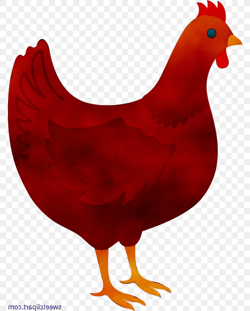 Rooster Chicken Clip Art Bird World Wide Web, PNG, 768x1017px, Rooster, Beak, Bird, Chicken, Com Download Free