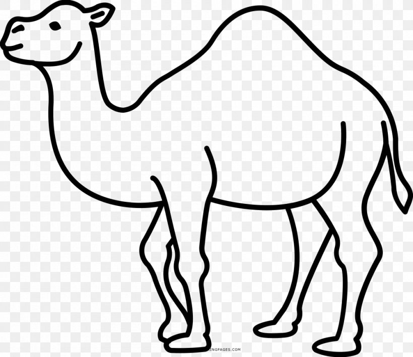 Dromedary Drawing Pack Animal Camelids, PNG, 1000x865px, Dromedary, Animal Figure, Arabian Camel, Black And White, Camel Download Free