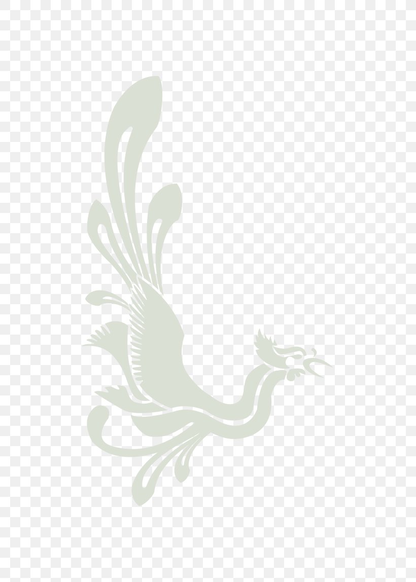 Feather Beak Font, PNG, 795x1148px, Feather, Beak, Bird, Pollinator, White Download Free