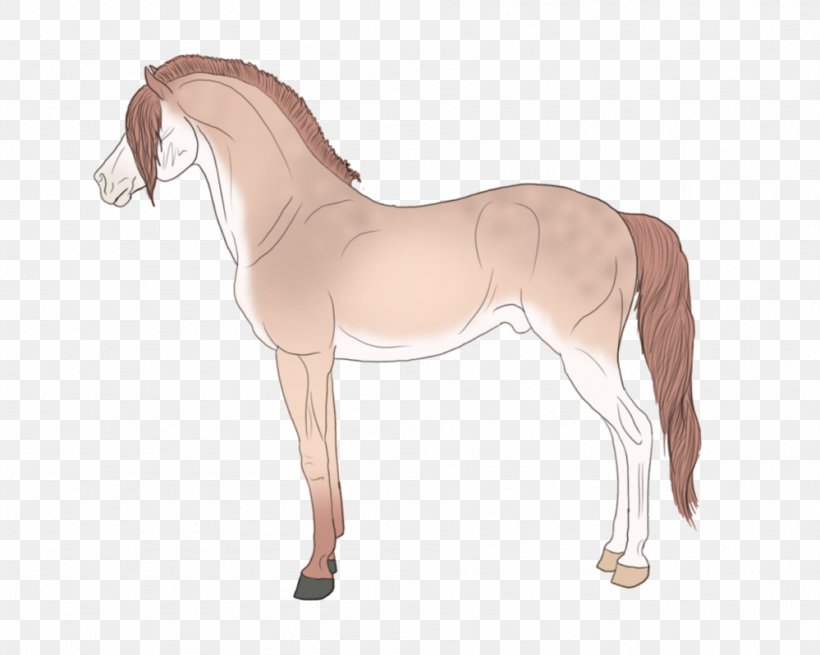 Foal Mane Stallion Mare Colt, PNG, 999x799px, Foal, Bridle, Colt, Halter, Horse Download Free
