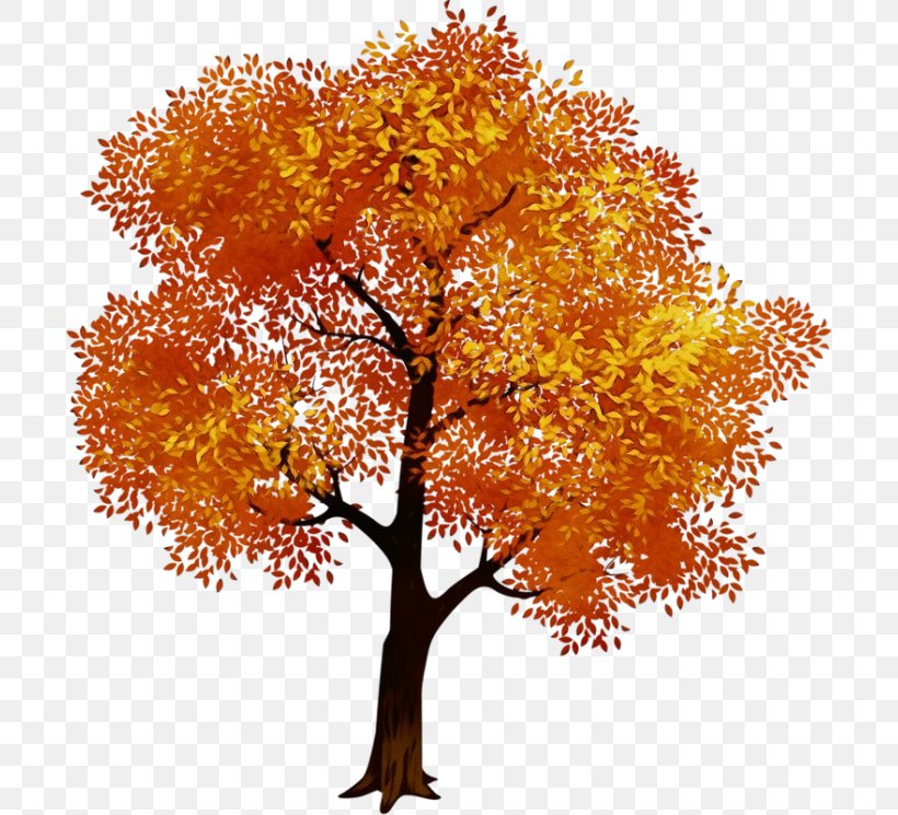 Oak Tree Leaf, PNG, 699x745px, Watercolor, Autumn, Branch, Deciduous, English Oak Download Free