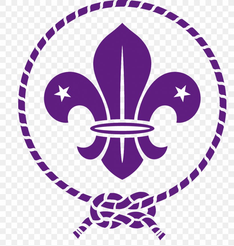 Scouting For Boys World Scout Emblem World Organization Of The Scout Movement Boy Scouts Of America, PNG, 1141x1200px, Scouting For Boys, Area, Boy Scouts Of America, Cub Scout, Girl Scouts Of The Usa Download Free