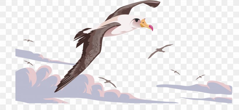 Bird Flight Beak Albatross, PNG, 6438x2981px, Bird, Albatross, Beak, Bird Flight, Blackfooted Albatross Download Free