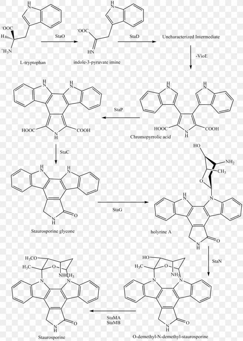 Chemical Synthesis Staurosporine Midostaurin Chemistry Semisynthesis, PNG, 1000x1406px, Chemical Synthesis, Area, Black And White, Chemical Compound, Chemistry Download Free