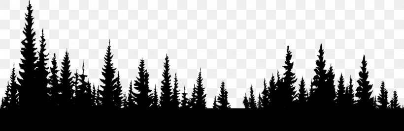 Forest Clip Art, PNG, 1228x400px, Forest, Black And White, Display Resolution, Grass, Grass Family Download Free