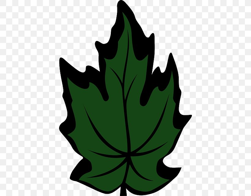 Maple Leaf Green Clip Art, PNG, 434x640px, Leaf, Arecaceae, Botany, Flower, Flowering Plant Download Free
