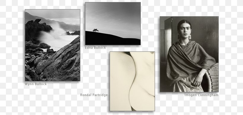 Photography Still Life Black And White Marriage, PNG, 680x389px, Photography, Artwork, Black And White, Blog, Brand Download Free