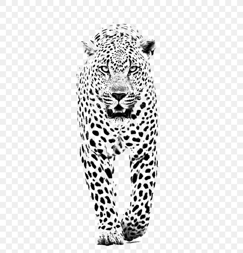 Leopard Jaguar Lion Tiger Black Panther, PNG, 600x852px, Leopard, Animal Print, Big Cats, Black, Black And Gray Download Free