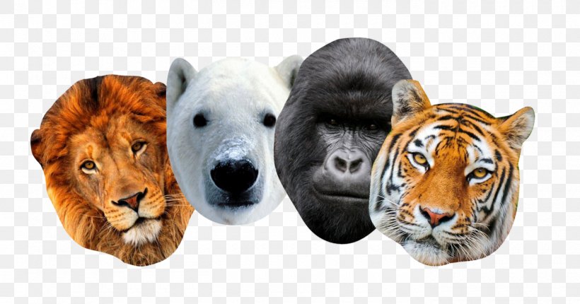 Tiger Mask Big Cat Wildlife, PNG, 1400x735px, Tiger, Animal, Bengal Tiger, Big Cat, Big Cats Download Free
