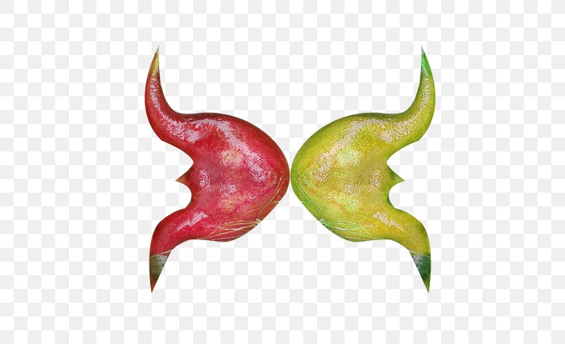 Water Caltrop Chili Pepper Red, PNG, 500x500px, Water Caltrop, Bell Peppers And Chili Peppers, Capsicum, Cayenne Pepper, Chili Pepper Download Free
