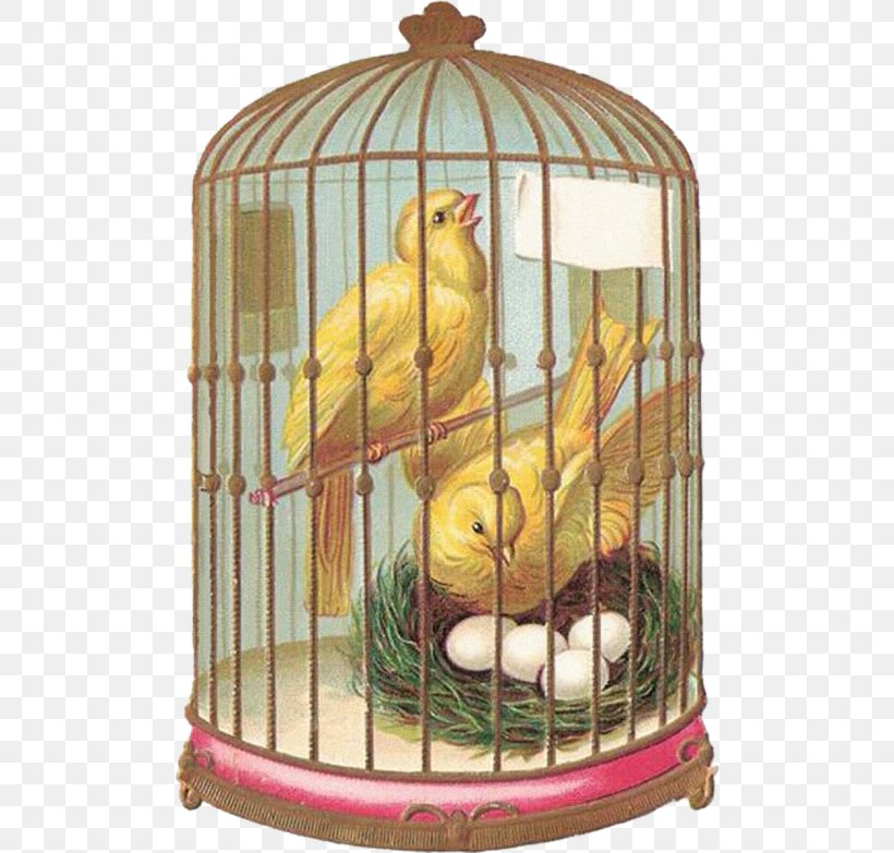 Birdcage Domestic Canary Tanager, PNG, 500x783px, Bird, Art, Bird Nest, Bird Of Prey, Birdcage Download Free