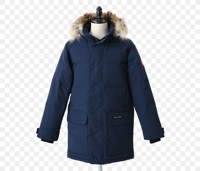 Cobalt Blue Overcoat, PNG, 600x700px, Cobalt Blue, Blue, Coat, Cobalt, Fur Download Free
